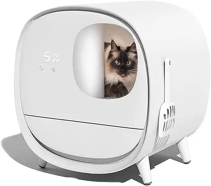 300 Dolar Altı Hava Temizleyicilerin Koku Giderme Performansı ve Alternatif Çözümler