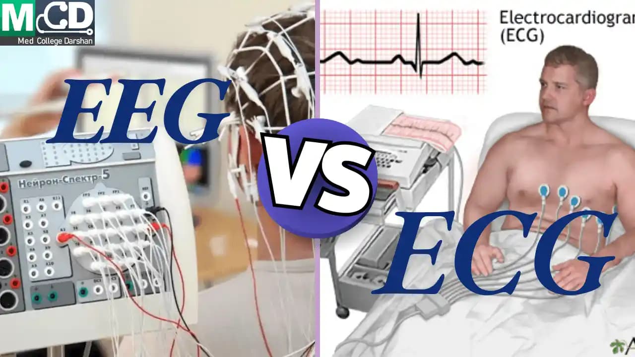 BCI ve EEG için Aktif Elektrot Tasarımı: Devre Detayları ve Koruma Yöntemleri