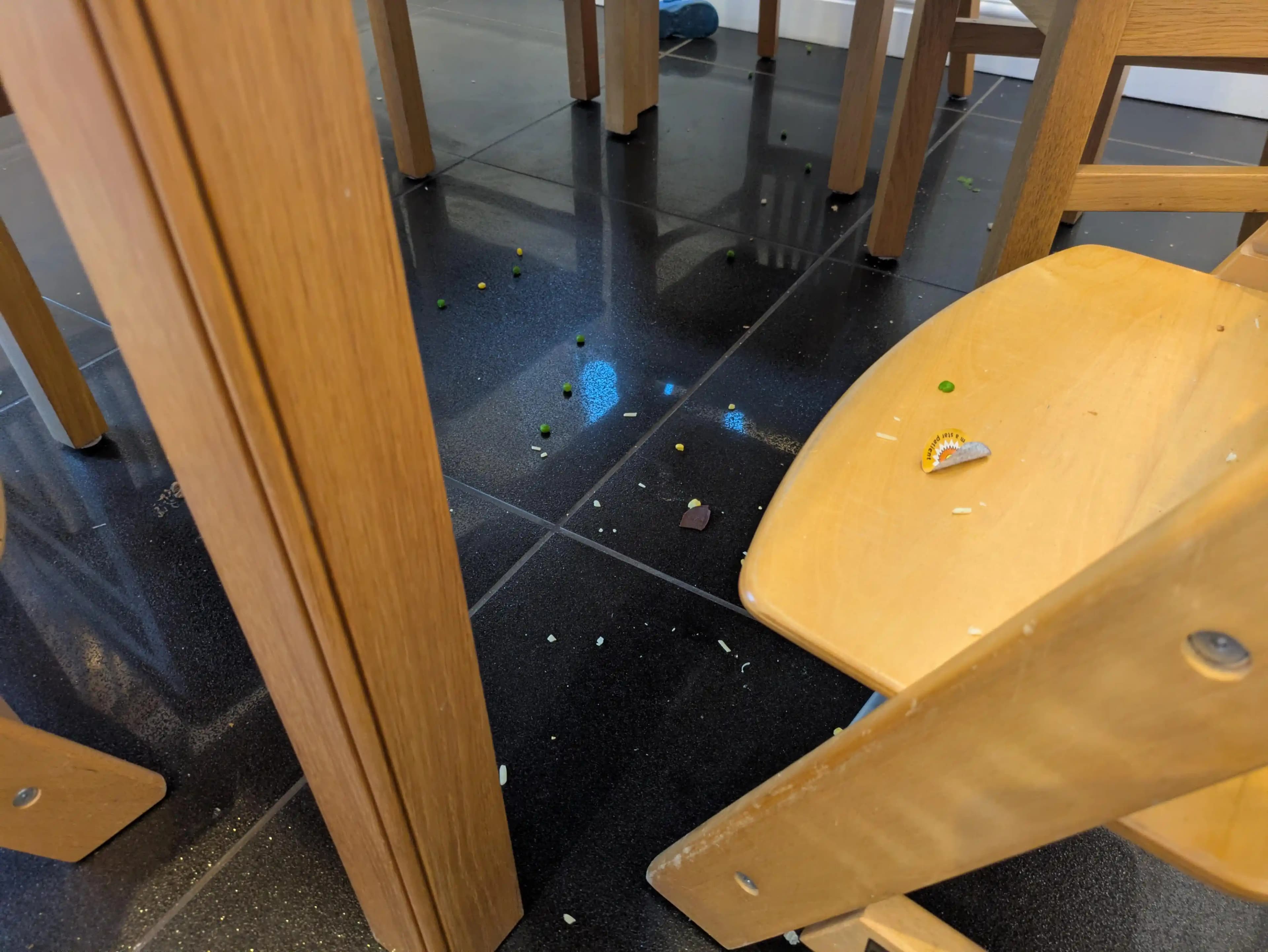 Islak ve Katı Gıda Artıkları İçin Robot Süpürge ve Paspas Seçimi ve Bakımı