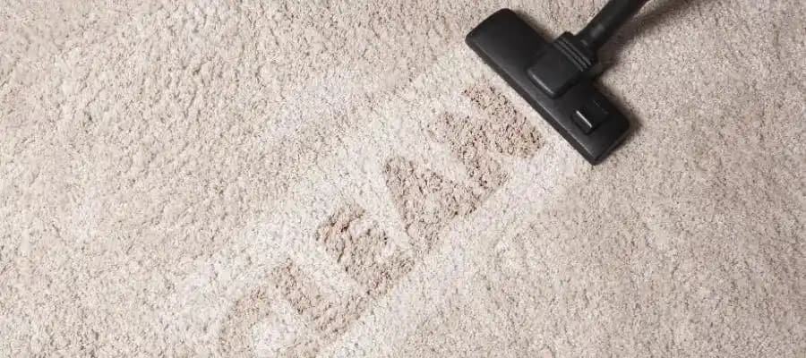 Sebo, Miele ve Riccar Elektrikli Süpürgelerinin Performans ve Dayanıklılık Karşılaştırması