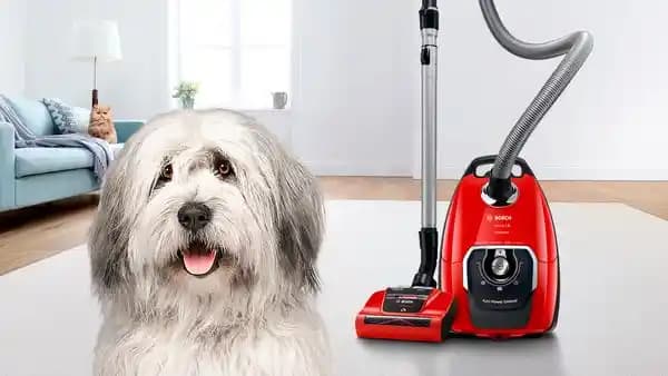 Torbalı Silindir Elektrikli Süpürgelerin Avantajları, Dezavantajları ve Marka Önerileri