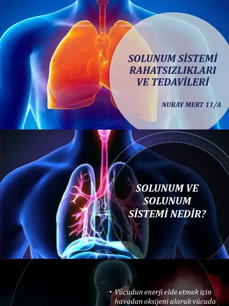 Utah'da Kötü Hava Kalitesi İçin Etkili Hava Temizleyici Seçimi ve Kullanımı