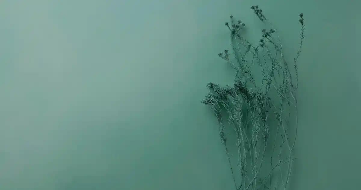 Samsung AirDresser: Evde Giysi Bakımında Yenilikçi ve Pratik Teknoloji Çözümü