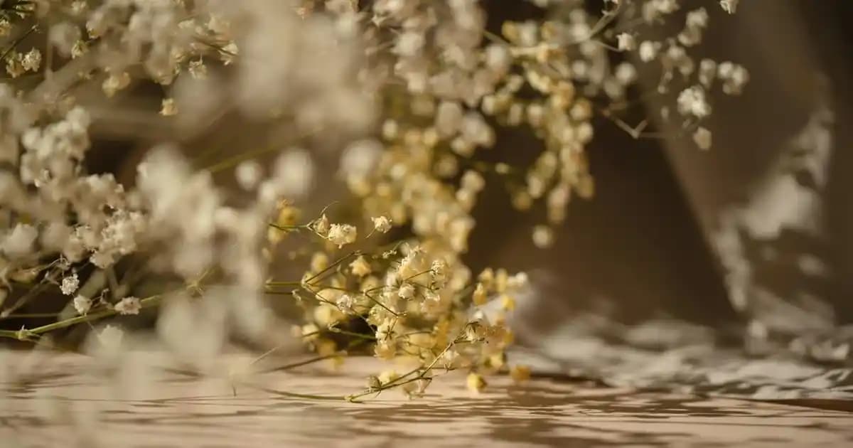 Webex: Çoklu Platform Destekli Güvenli ve Entegre İşbirliği Çözümü