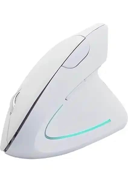 Cloody Dikey Ergonomik ve Trust 23507 Verro Ergonomik Mouse Karşılaştırması