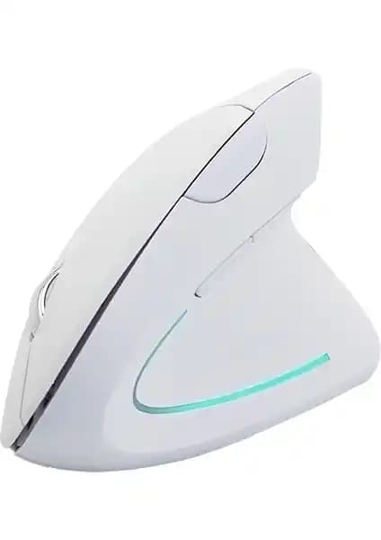 Cloody Dikey Ergonomik ve Trust 23507 Verro Ergonomik Mouse Karşılaştırması