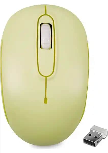 Everest SMW-666 ve Logitech M220 Kablosuz Mouse'ların Detaylı Karşılaştırması