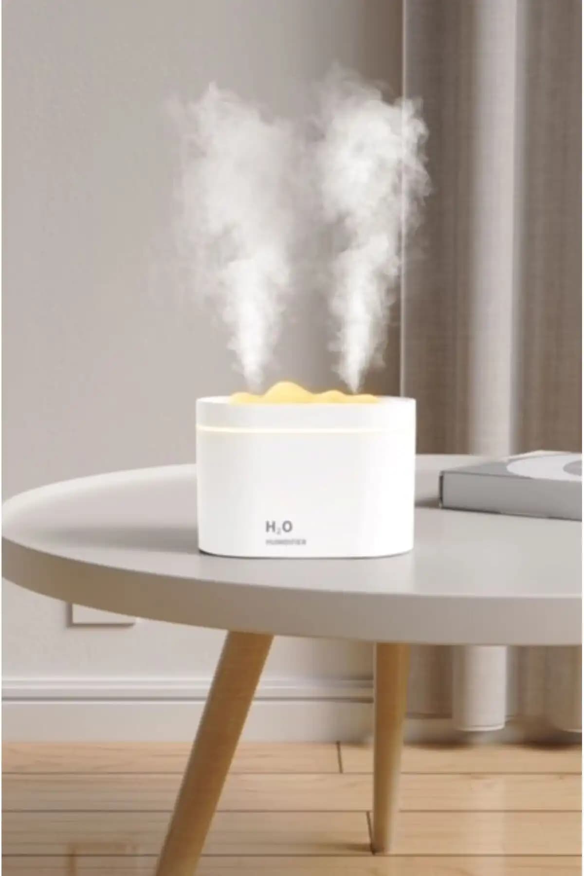 Asua H2o ve Bowie Ultrasonik Nemlendirici Karşılaştırması: Özellikler ve Kullanıcı Yorumları