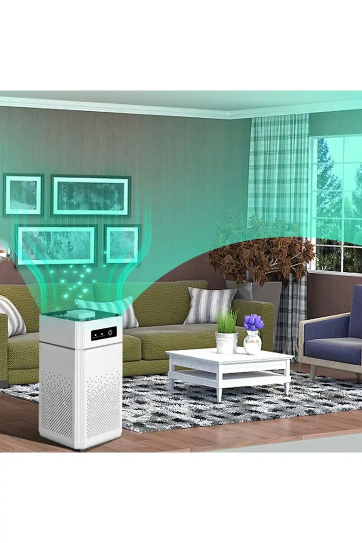 EZERE ve Opiunte hava temizleyicilerinin karşılaştırması: özellikler ve kullanıcı deneyimleri