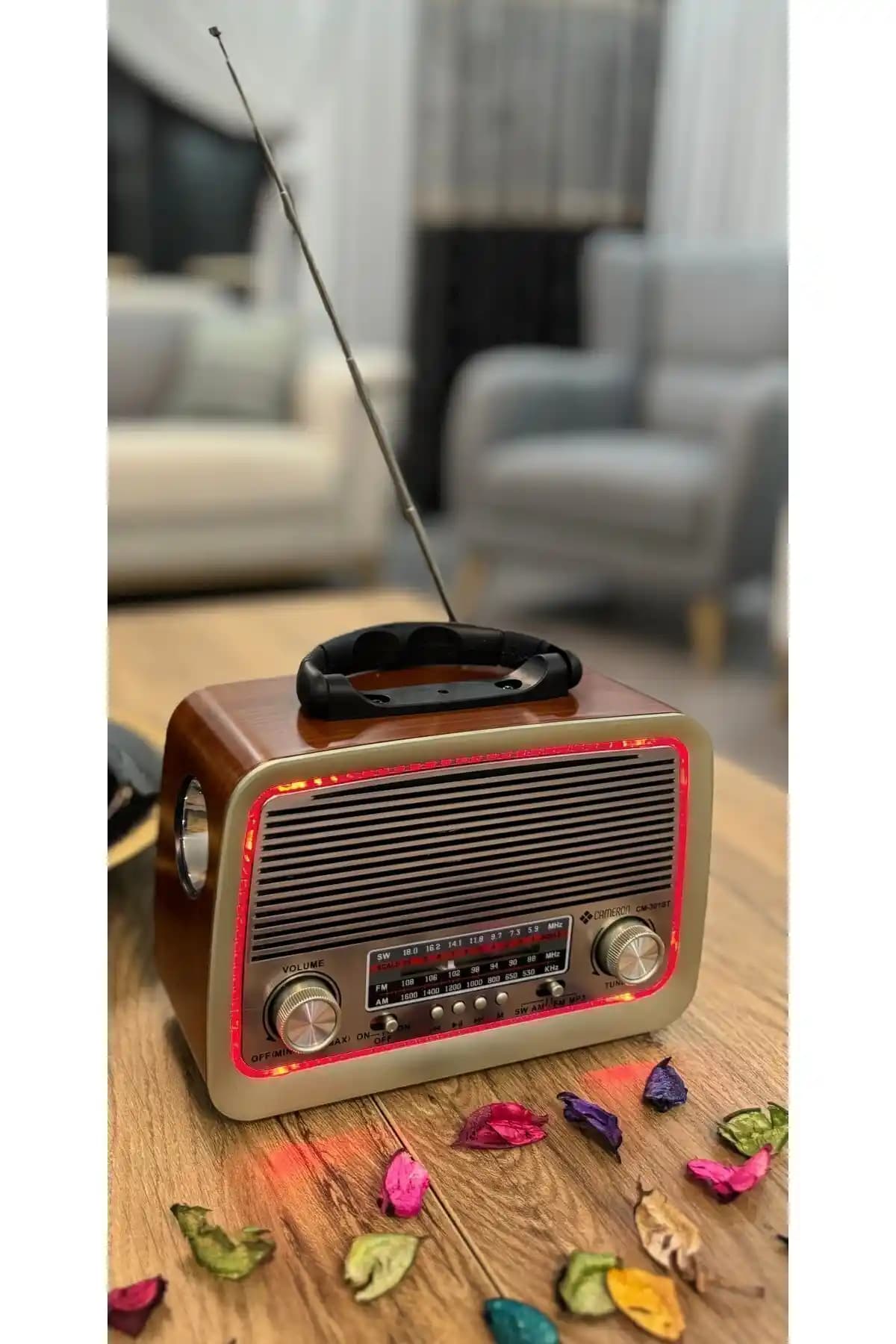 Helsinki HS-301 ve La Cengs 301 Radyo Karşılaştırması: Özellikler ve Kullanıcı Yorumları