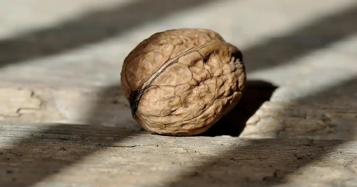 77 İnç Büyük Ekran TV'lerin Teknik Özellikleri ve Kullanım Alanları Analizi