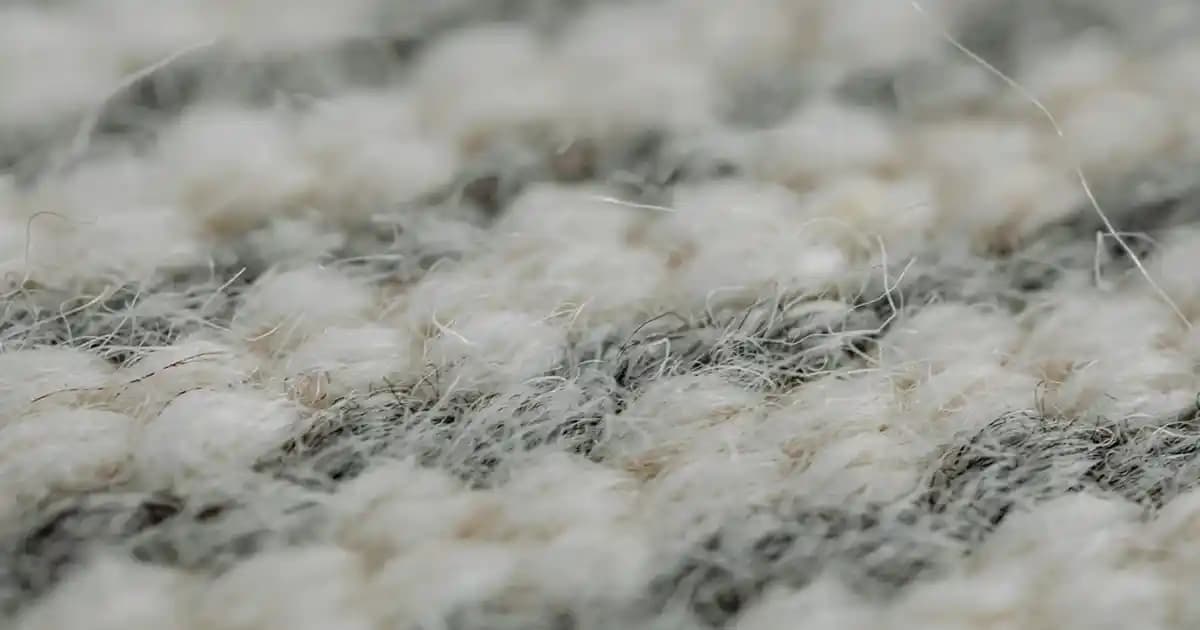 'Kiddo' Kelimesinin Anlamı ve Günlük Kullanımına Dair Kapsamlı Bir İnceleme