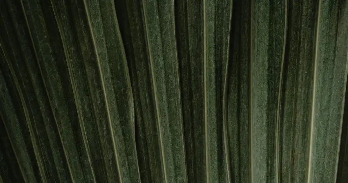 Şarjlı El Süpürgeleri: Güncel Teknolojiler ve Kullanım İpuçları