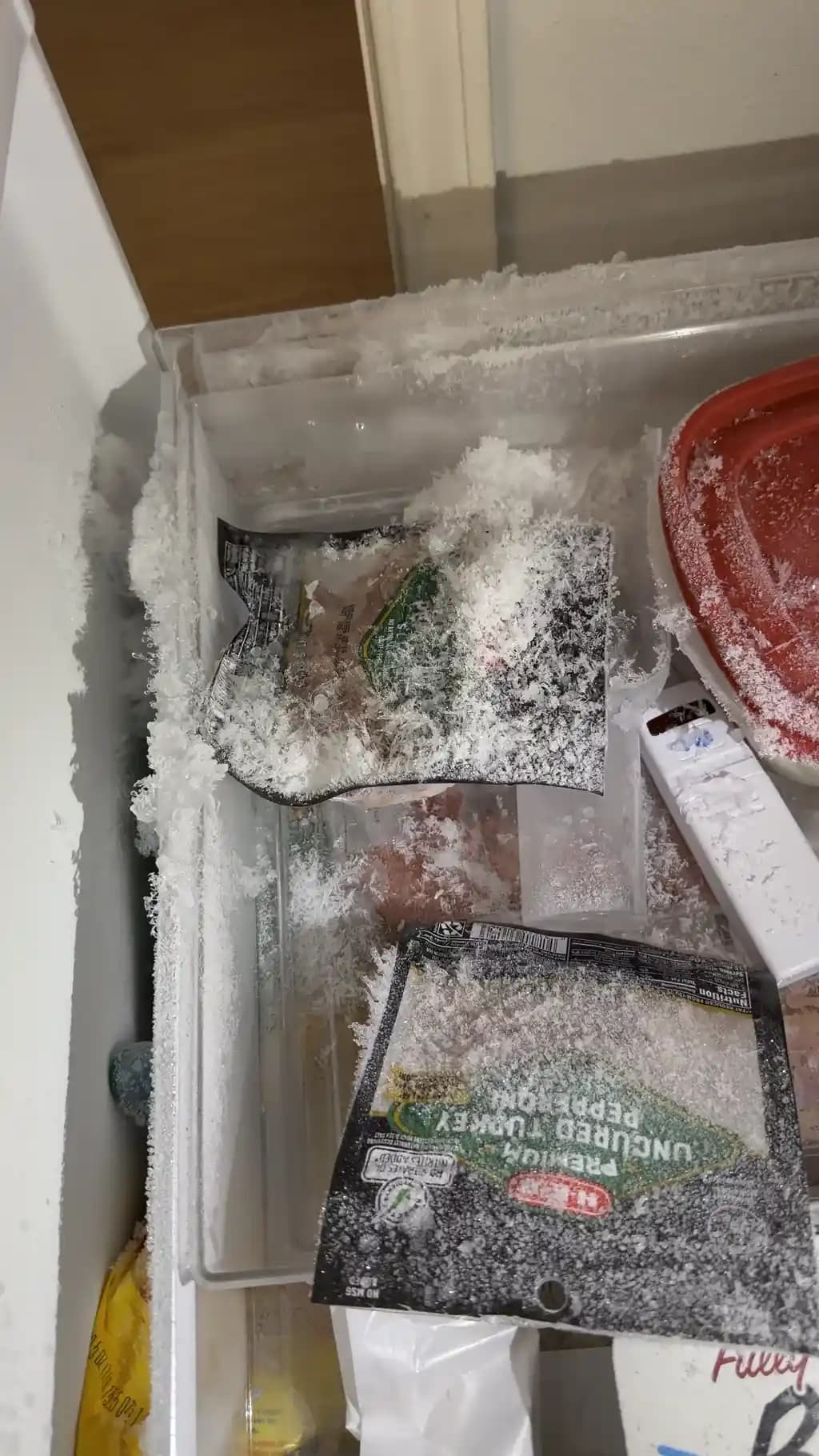 Bosch 800 Serisi Buzdolabında Dondurucuda Buzlanma ve Su Sorunlarının Nedenleri ve Çözümleri