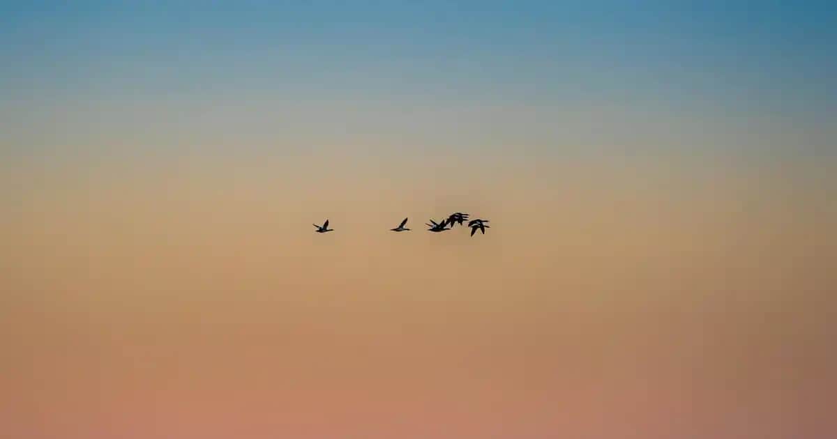 45 İnç Televizyon Seçerken Dikkat Edilmesi Gerekenler ve En İyi Modeller