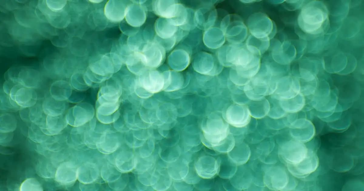 Akıllı Kameralar ve Güvenlik Teknolojilerinde Geleceğin Trendleri ve Uygulamaları