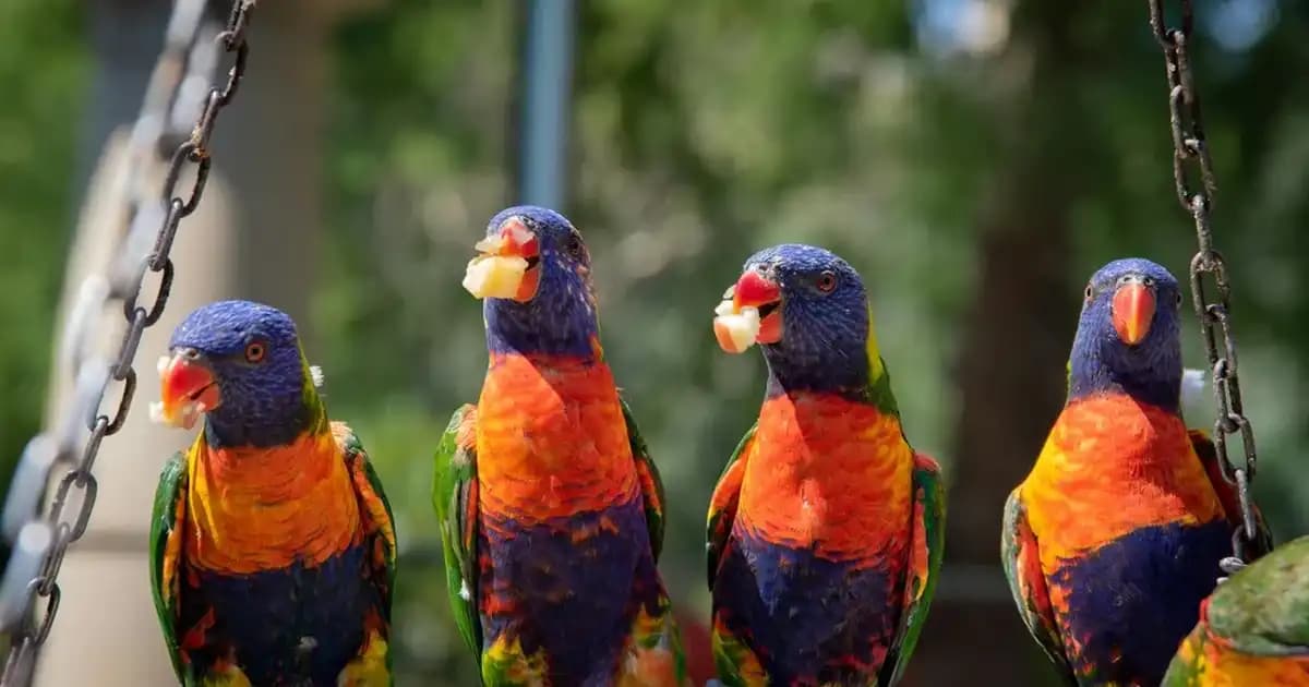 Altus 6 Çekmeceli Derin Dondurucu Özellikleri ve Modern Mutfaklar İçin Avantajları