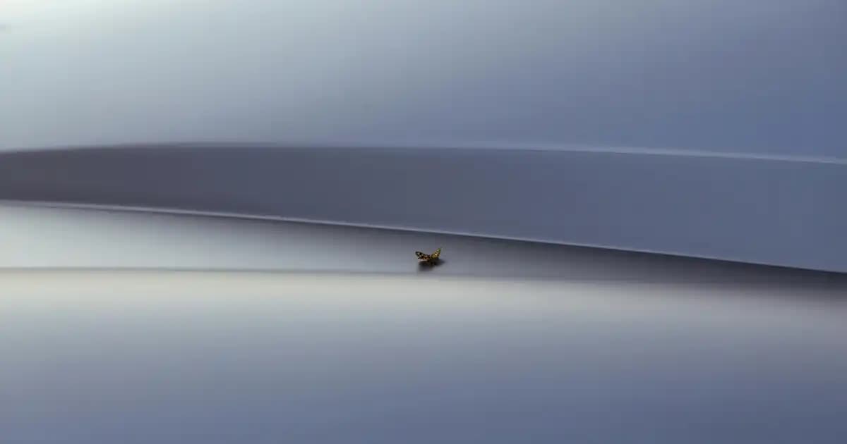 Bosch 10 Kg Çamaşır Makinesi Özellikleri ve Performansı Hakkında Detaylı Bilgi