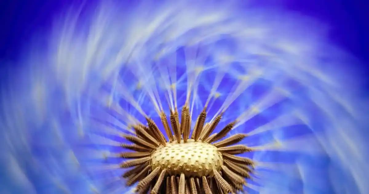 2025'te DJI RC 2 ile Drone Kontrolünde Devrim Yaşayın