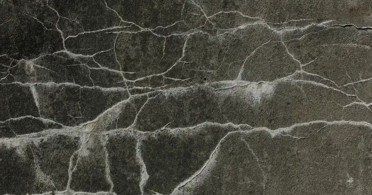 Çok Amaçlı Mutfak Robotları: Modern Mutfağın Vazgeçilmez Yardımcısı ve Seçim Rehberi