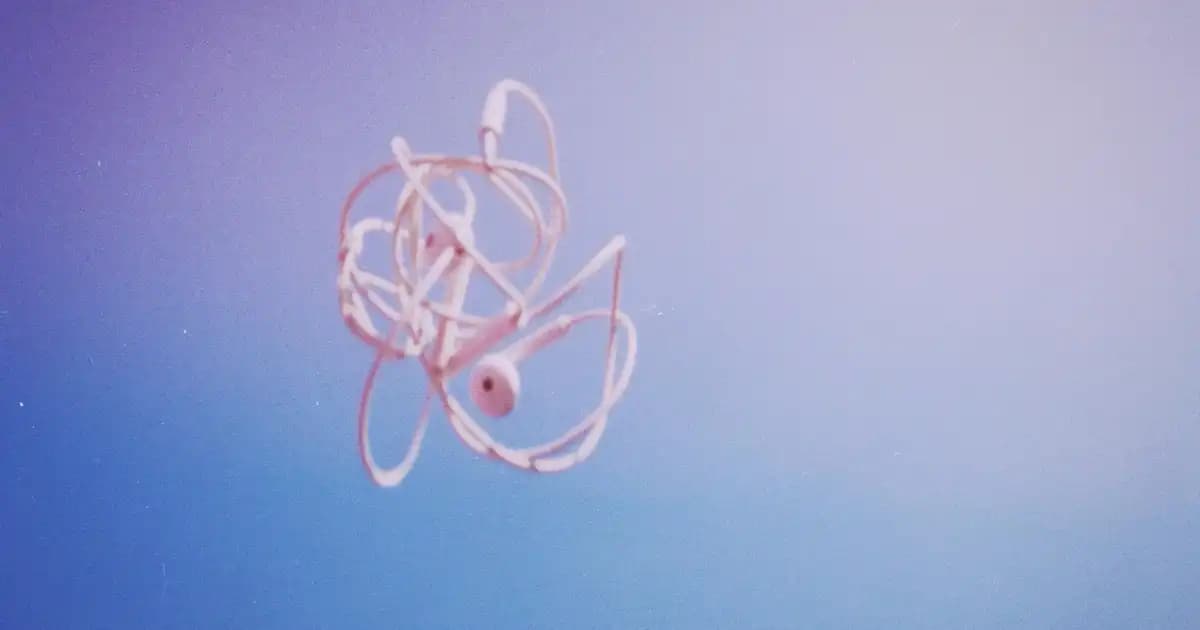 En Güçlü Çekim Gücüne Sahip Süpürge Seçimi ve Temizlikteki Önemi