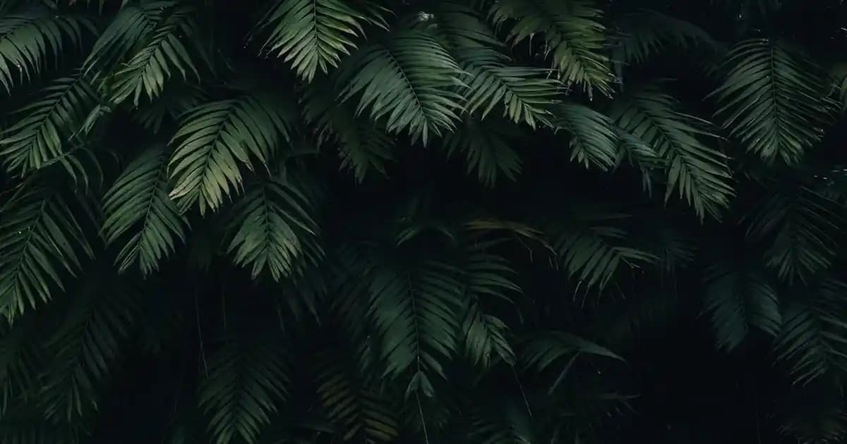 HP 415A Toner Kartuşu: Ofis ve Ev Yazıcıları İçin Güçlü ve Ekonomik Çözüm