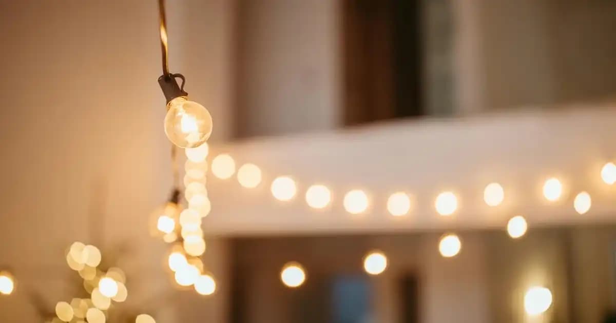 Insta360 Kameralarıyla Çok Yönlü ve Yenilikçi Video ve Fotoğraf Çekim Teknolojileri