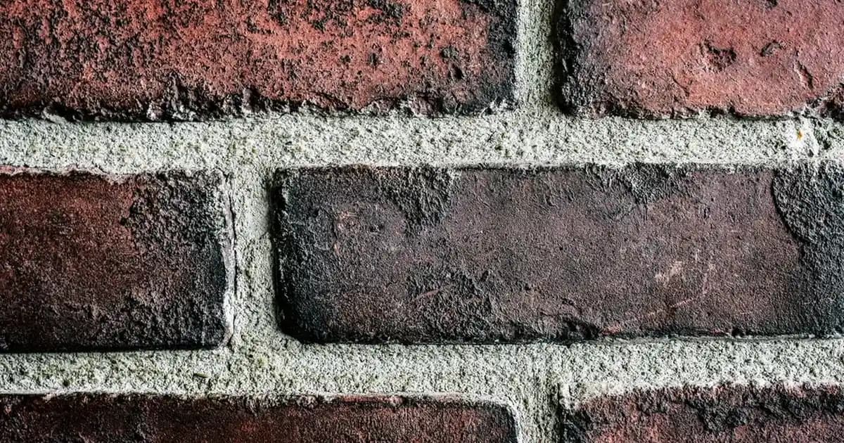 JBL 670BT Kablosuz Kulaklık ve Hoparlör: Yüksek Ses Kalitesi ve Uzun Pil Ömrü