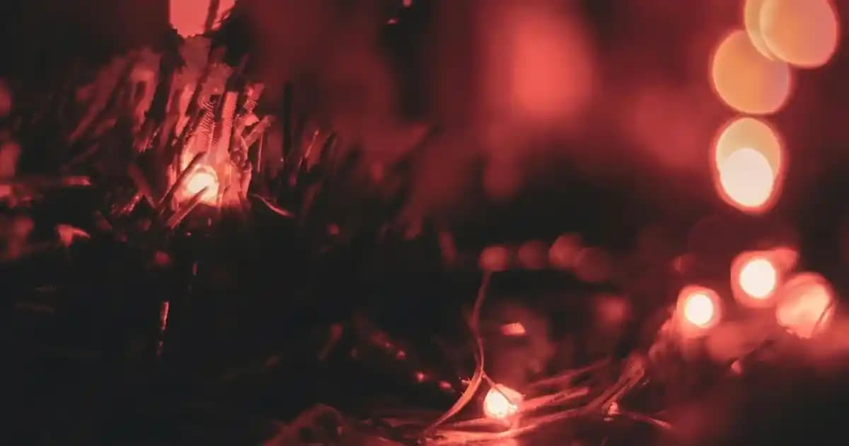 Kamera Lensleri: Çeşitleri, Özellikleri ve Doğru Lens Seçimi Rehberi