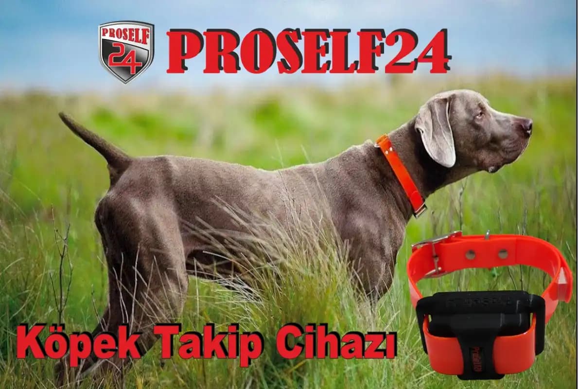 Köpek Takip Cihazları Fiyatları ve Özellikleri: Güncel Rehberle Güvenliği Artırın