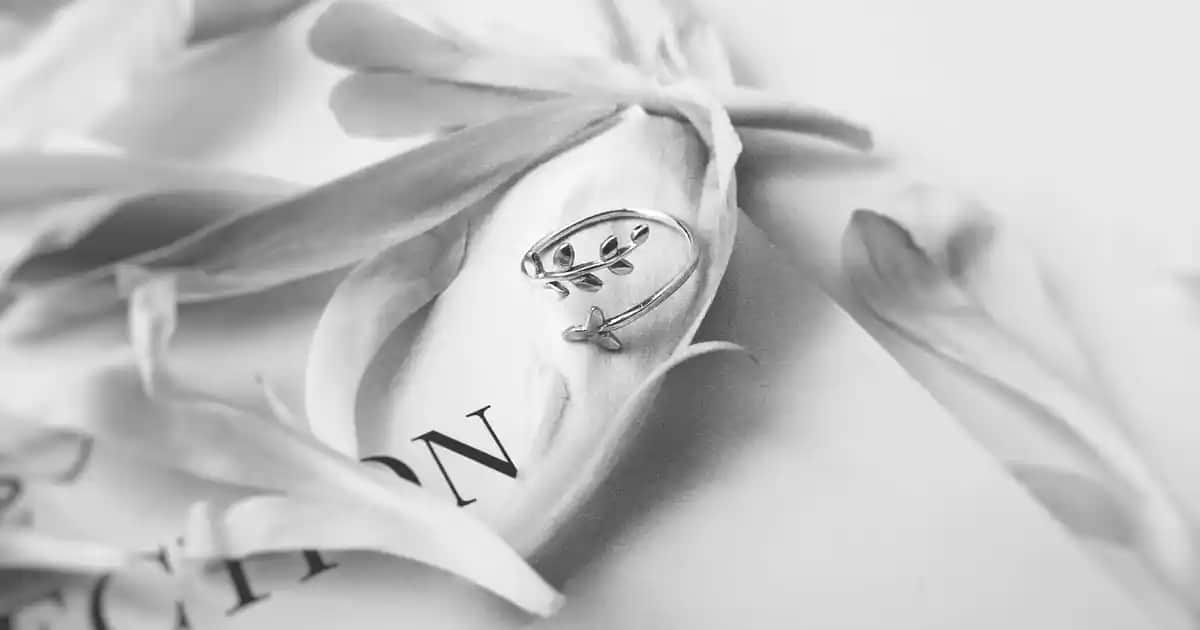 Küçük Faraşlı Süpürge Nedir ve Elektronik Temizlikteki Yeri Hakkında Bilgi