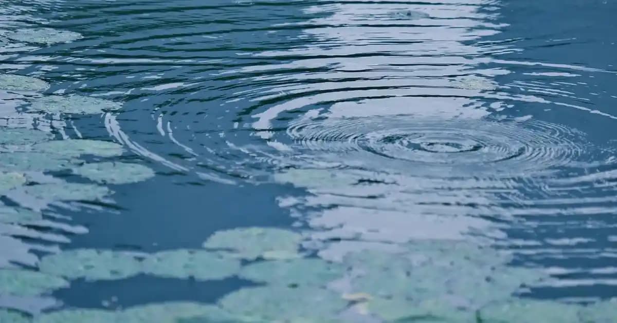 Mi Pad 7: Uygun Fiyatlı ve Çok Yönlü 7 İnç Xiaomi Tablet Özellikleri ve Kullanım Alanları