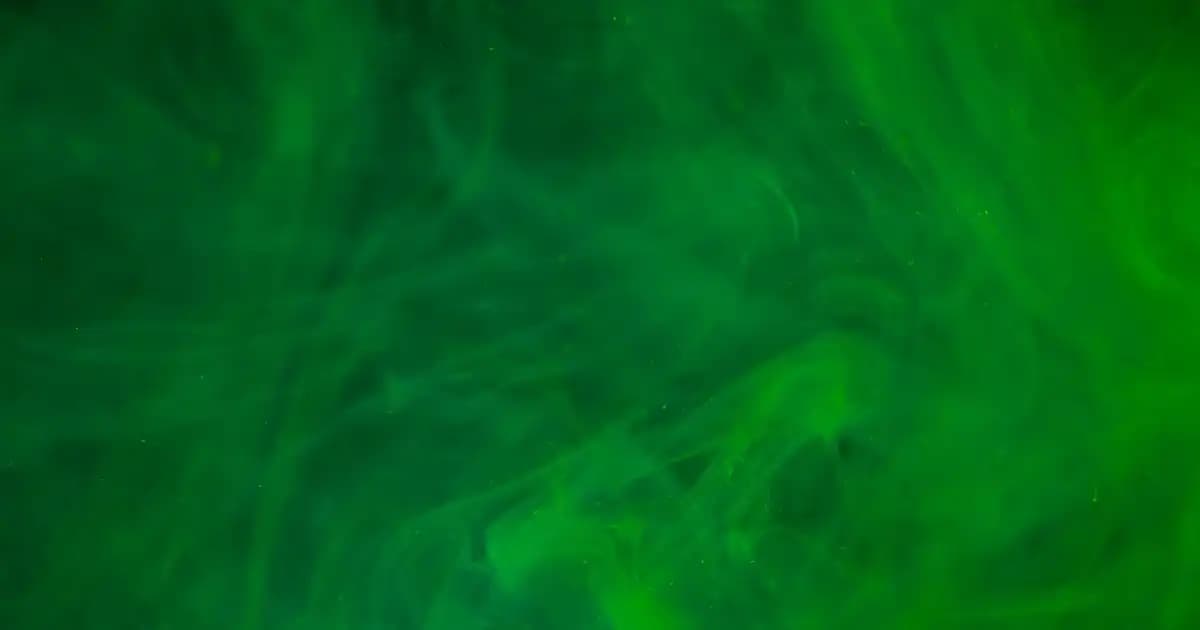 Philips BHA530/00 Tıraş Makinesi: Temizlik ve Hijyen Avantajlarıyla Günlük Bakım