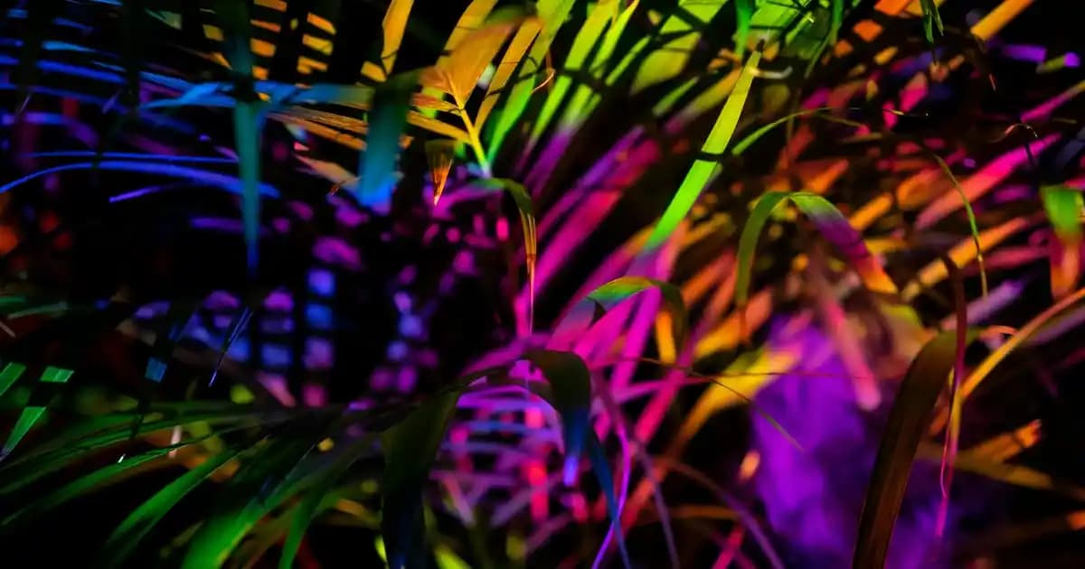 Samsung Galaxy Watch Serisi: Sağlık, Tasarım ve Akıllı Özellikler ile Günlük Yaşamı Kolaylaştıran Akıllı Saatler