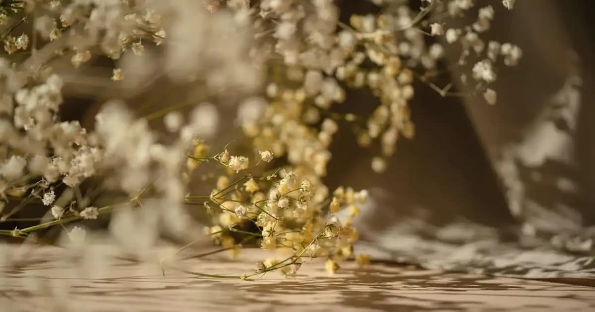 Samsung M31s Kullanıcı Deneyimleri ve Karşılaşılan Teknik Problemler Hakkında Detaylı Bilgi