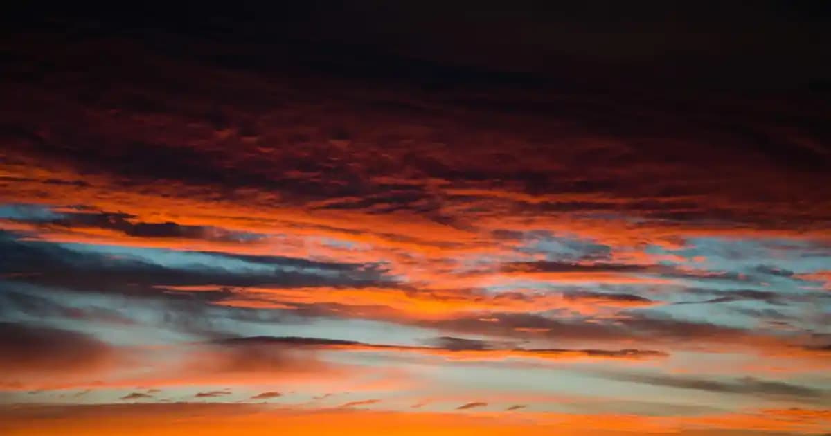 Xiaomi Mi 9 SE: Orta Sınıf Akıllı Telefonlarda Yeni Standart ve Yüksek Performans Sunar