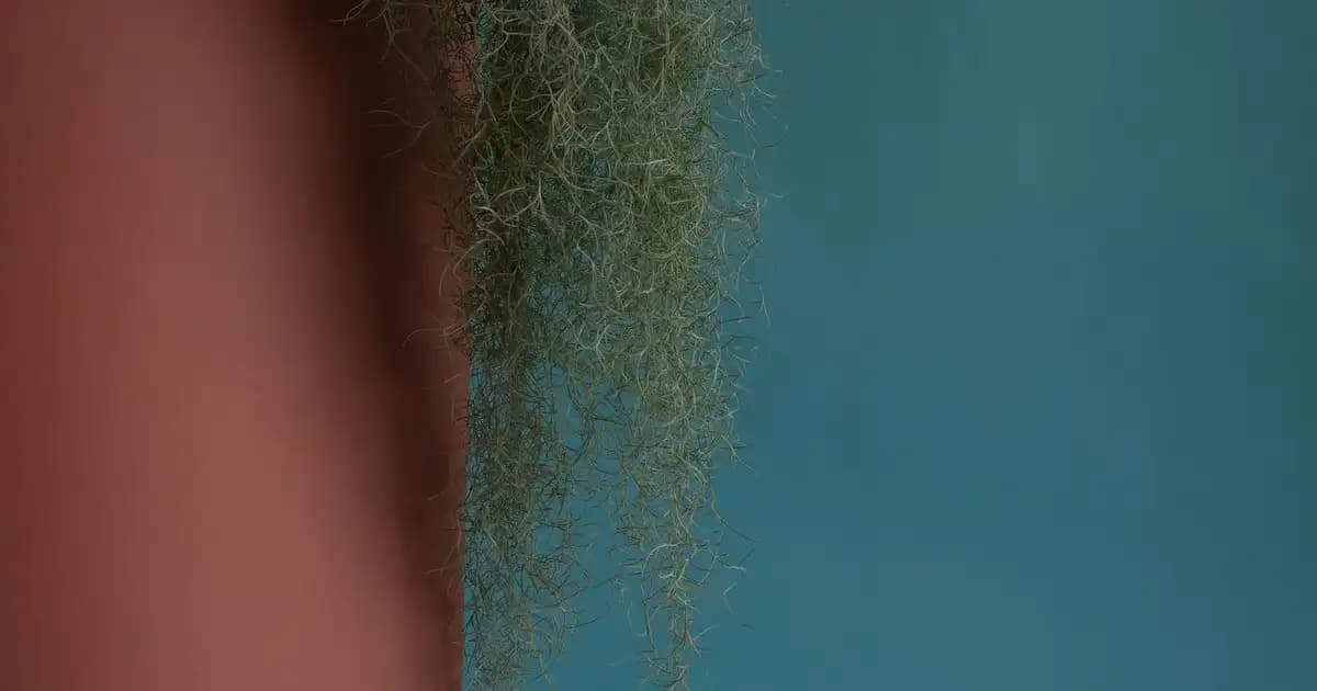 Xiaomi Mi Robot Mop 2 Pro ile Akıllı Temizlikte Yeni Bir Dönem Başlıyor