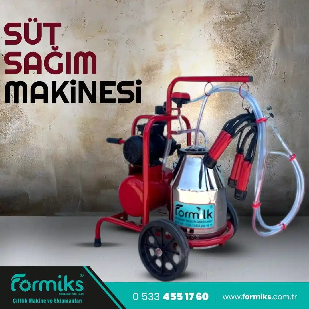 Sebo D4 ve Felix Elektrikli Süpürgeler: Profesyonel Temizlikte Çanta ve Bidonlu Modellerin Karşılaştırması