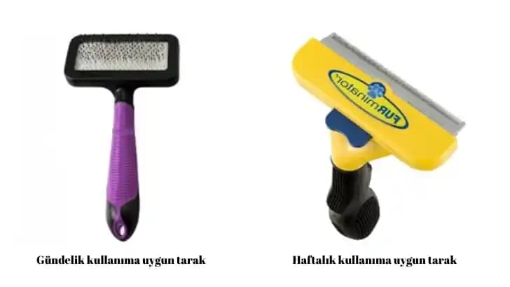 Yoğun Evcil Hayvan Tüyü İçin Robot Süpürge ve Paspal Seçimi: Performans ve Dayanıklılık