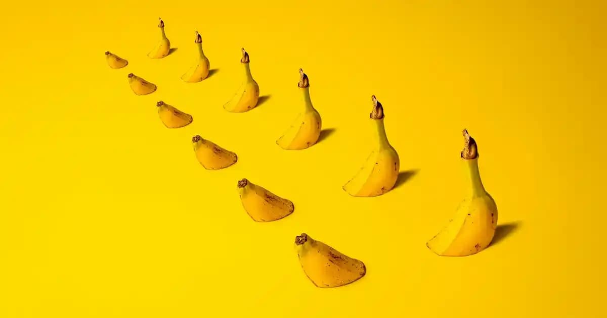 A24 Kamera İçin Silikon Kadife Koruma: Dayanıklı ve Şık Tasarım Özellikleri