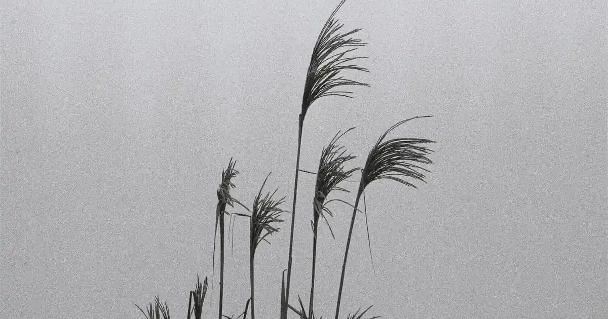 Akıllı Telefon Seçiminde Dikkat Edilmesi Gerekenler Itel S23 ve A27 Modelleri Karşılaştırması