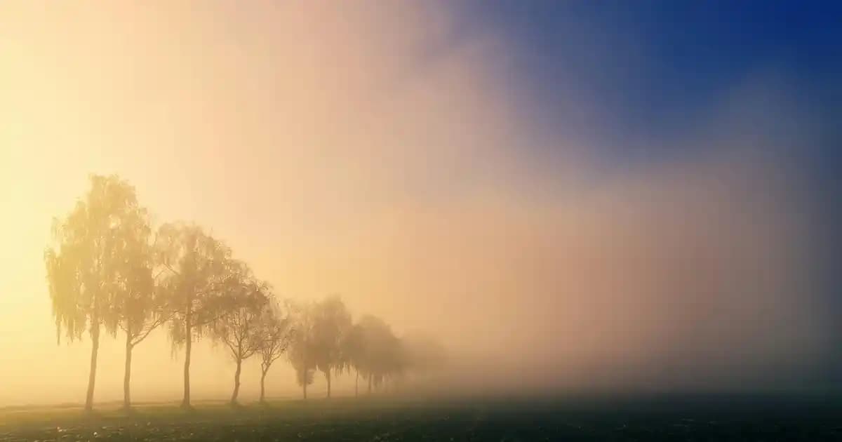 Apple MacBook Air 256GB SSD ile Hafif ve Yüksek Performanslı Dizüstü Bilgisayar