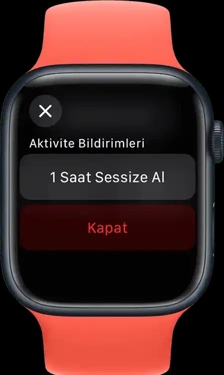 Apple Watch'ta Bildirimleri Etkin ve Kontrollü Yönetme Rehberi