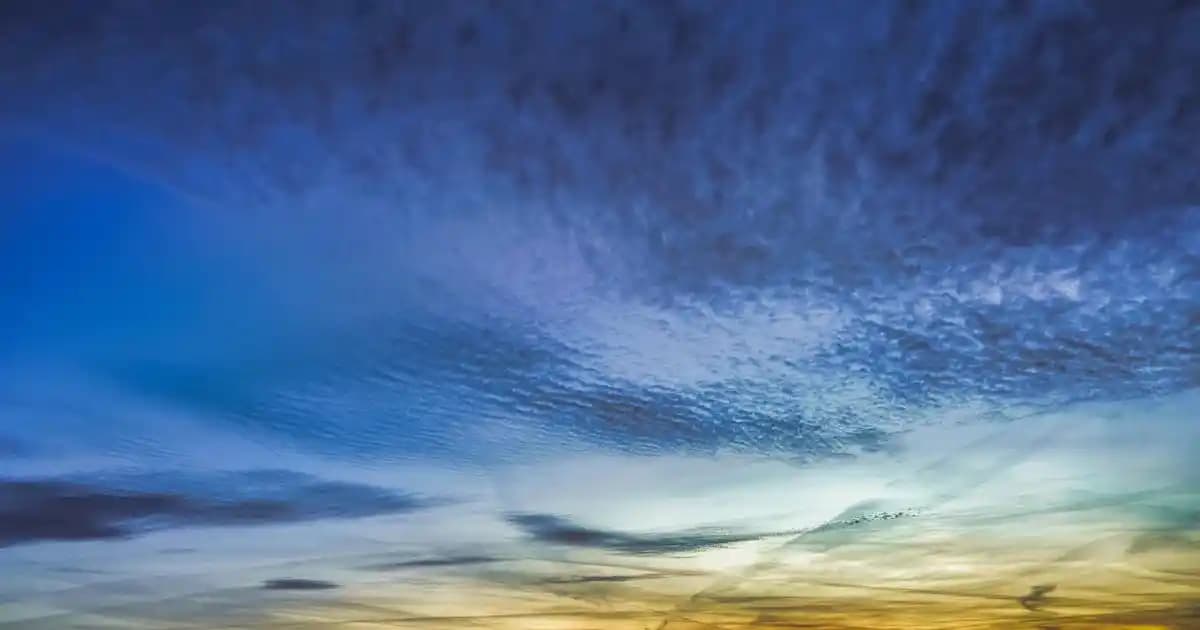 Arnica Pika ve Samsung Elektrikli Süpürgelerin Karşılaştırması ve Kullanım İpuçları