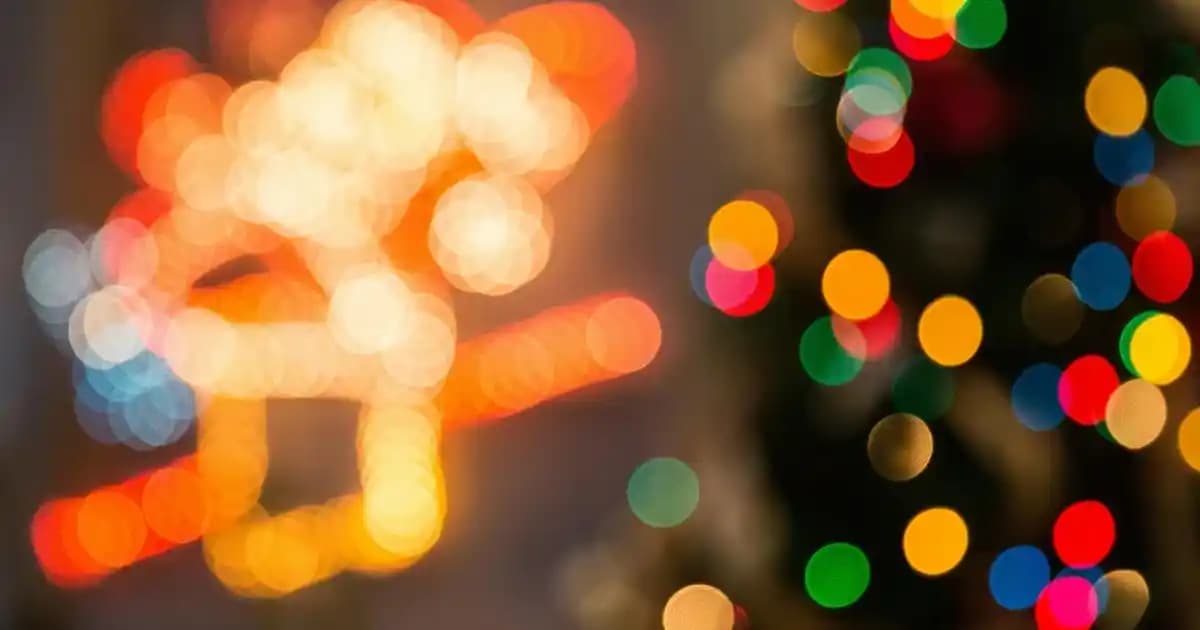 Bosch Private Collection Güvenilirliği ve Dördayak Özellikleri Üzerine Kapsamlı İnceleme