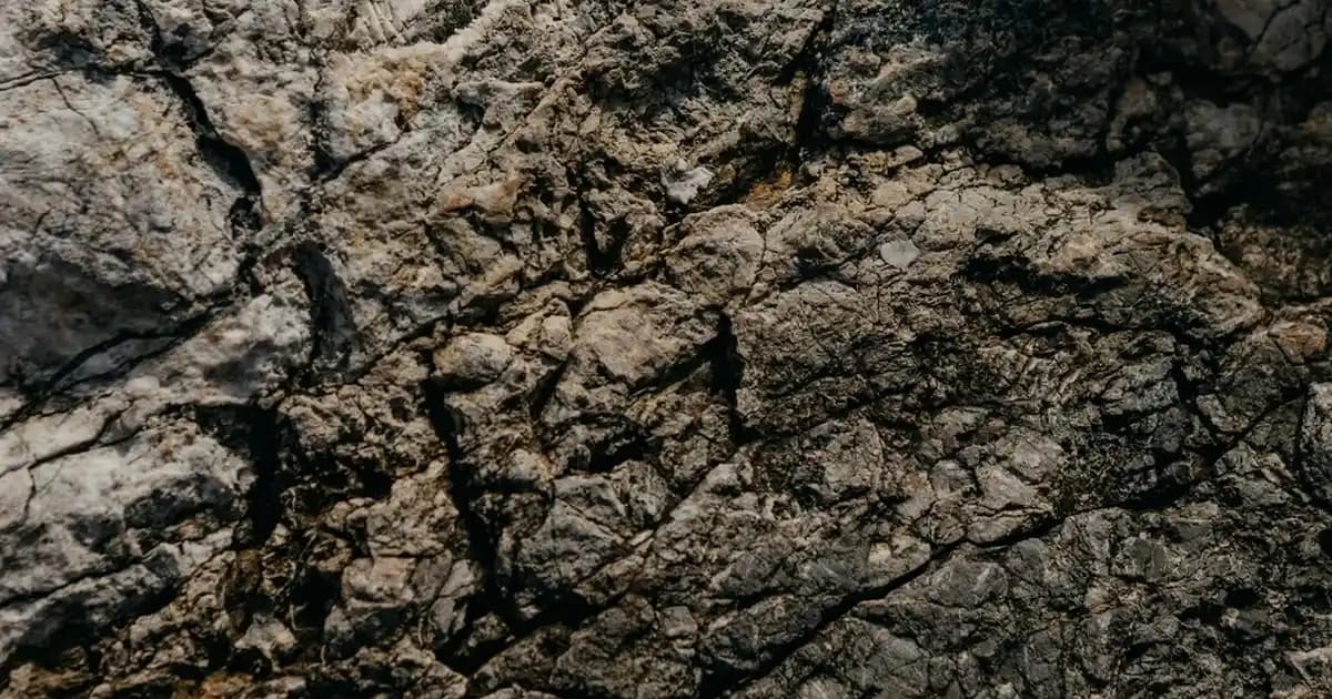 Buharlı Temizlik Sistemleri Güncel Trendler ve Teknolojik Gelişmeler Analizi