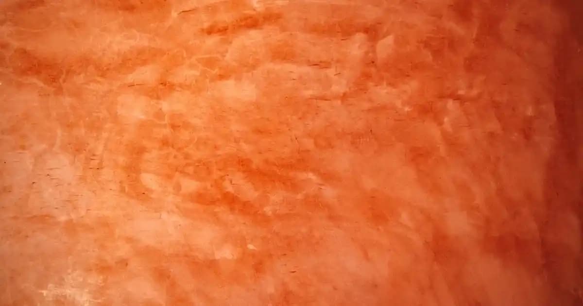 Buharlı Yer Silme Aletleri: Hijyen ve Pratiklik Sunan Temizlik Çözümleri