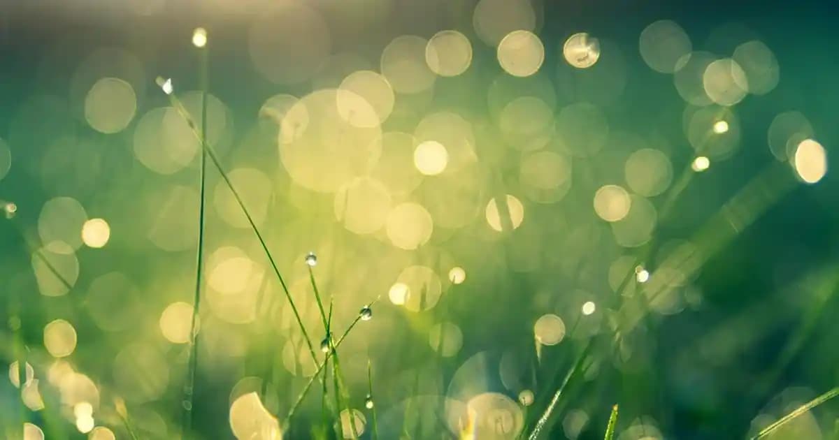 Canon i-Sensys MF754cdw Çok Fonksiyonlu Yazıcı ile Ofis Verimliliğinizi Artırın