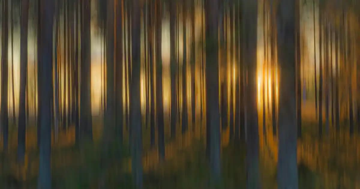 Derin Dondurucularda No Frost Sistemi: Buzlanmayı Engelleyen Gelişmiş Teknoloji ve Avantajları