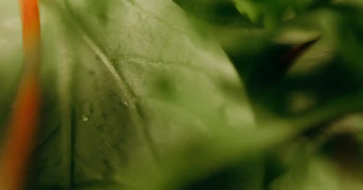 En İyi Drone Modelleri ve Özellikleri Hakkında Güncel Bilgiler